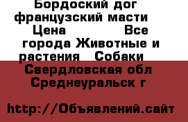 Бордоский дог ( французский масти)  › Цена ­ 50 000 - Все города Животные и растения » Собаки   . Свердловская обл.,Среднеуральск г.